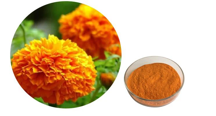 Zeaxanthin Powder Zeaxanthin Powder