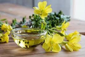 natural evening primrose oil powder natural evening primrose oil powder