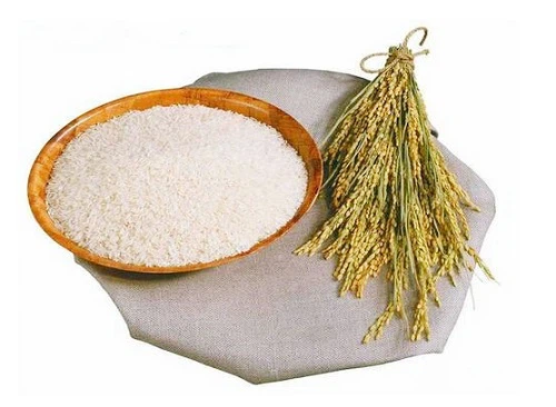 Gamma Oryzanol Powder