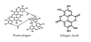Chemical structure