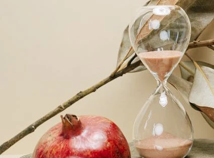 Pomegranate Extract Powder