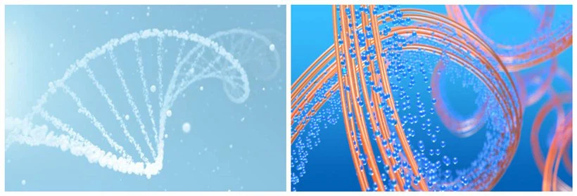 amino acids amino acids