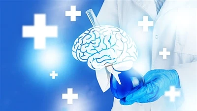 Apakah Phosphatidylserine Sebenarnya Berfungsi?