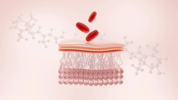 info-612-345 info-612-345