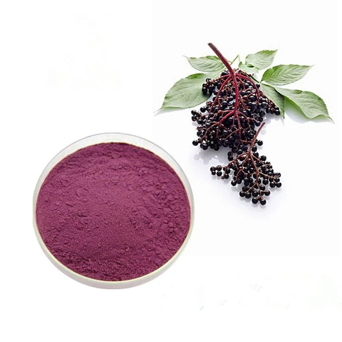 Bubuk Ekstrak Elderberry