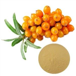 Bubuk ekstrak buckthorn laut