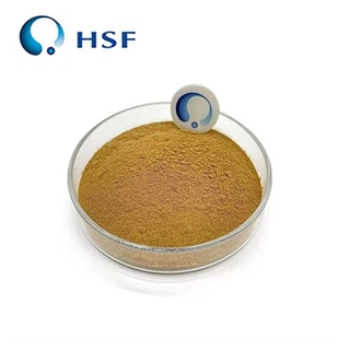 Bubuk Ginkgo Biloba Fermentasi